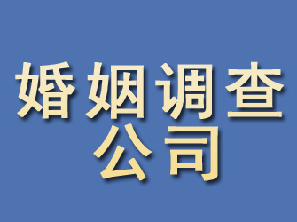 贺兰婚姻调查公司